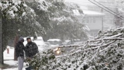 Heavy snow in October brought down trees and power lines in the northeastern U.S.