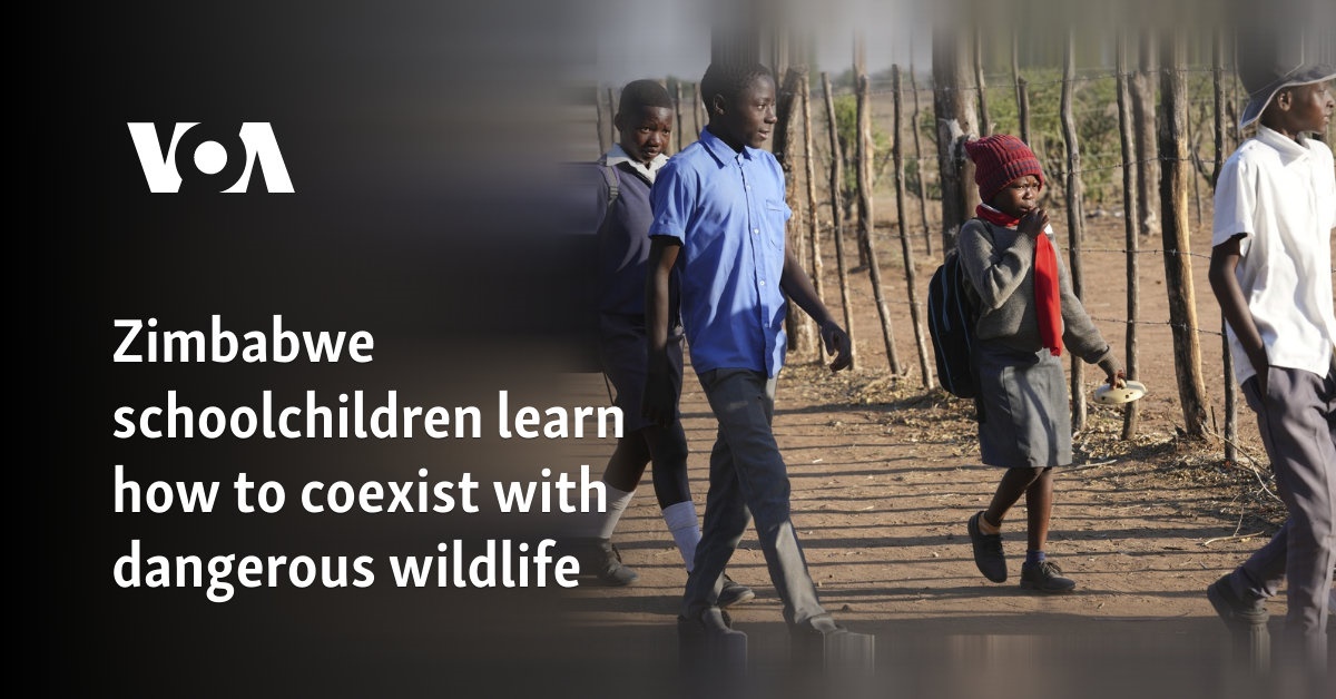 Zimbabwe schoolchildren learn how to coexist with dangerous wildlife