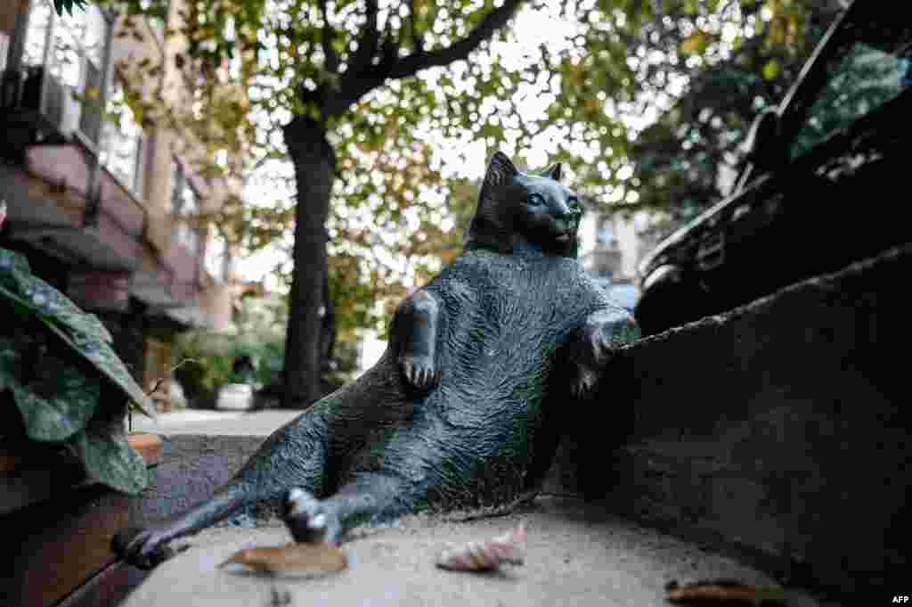 A sculpture of &quot;Tombili Cat&quot; who died in August at Ziverbey district in Istanbul, Turkey. The cat became a social media phenomenon after being photographed posing on a sidewalk in the neighborhood.