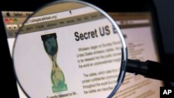 WikiLeaks na udaru hackera