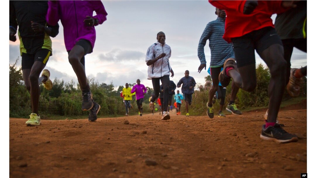 FILE - Kenyan athletes train together just after dawn, in Kaptagat Forest in western Kenya. World Anti-Doping Agency (WADA) officials declared Kenya's drug-fighting agency out of compliance.