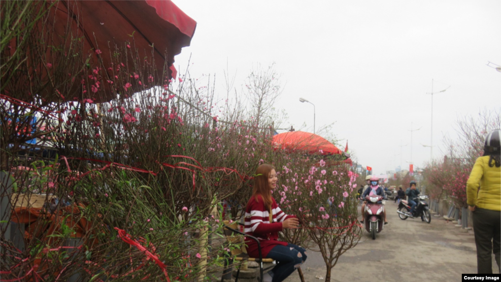 Chợ Hoa Tây Hồ, nơi tập trung đủ các loài hoa phục vụ nhu cầu của người dân Hà Nội. Đặc biệt, ở đây có rất nhiều loại hoa đào, kể cả các loại quý hiếm từ các tỉnh miền núi phía bắc đưa về. (Ảnh: Lê Anh Hùng)