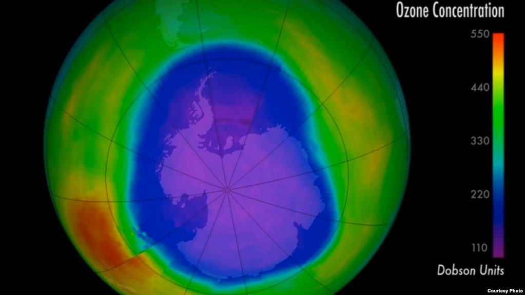 The Ozone Layer Shields Us and Saves