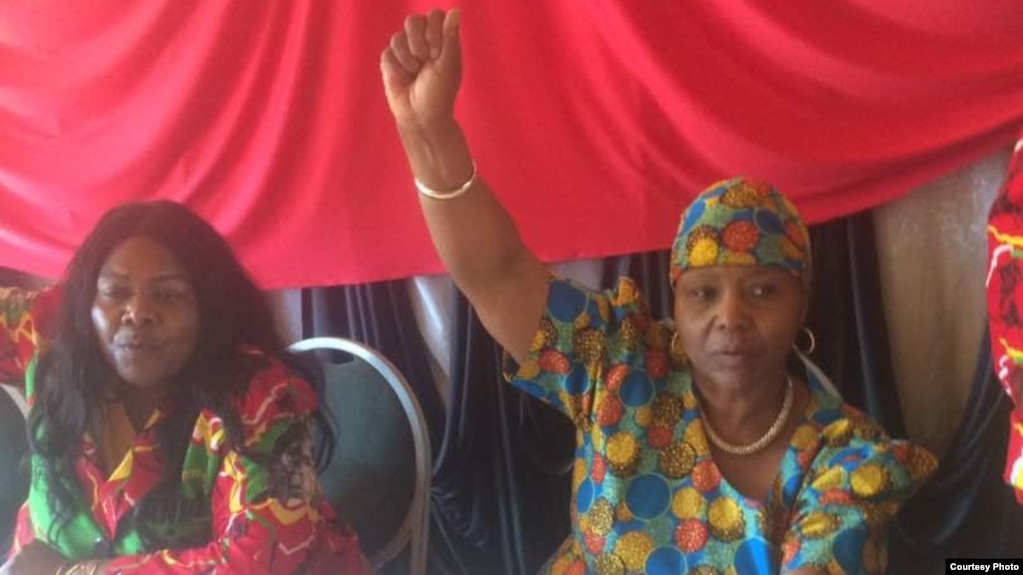 Defence Minister Oppah Muchinguri-Kashiri chanting the Zanu PF slogan in Mutare ...