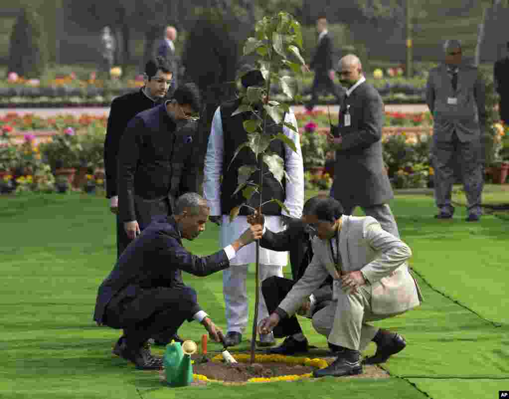 Presiden Barack Obama, kiri, berpartisipasi dalam sebuah upacara penanaman pohon di Raj Ghat Memorial untuk Mahatma Gandhi di New Delhi (25/1).