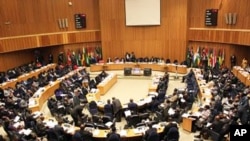 African Union's 18th Ordinary Session of the Executive Council in Addis Ababa, Ethiopia, January 27, 2011