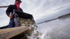 Oyster Farmers Get Lifeline Selling ‘Uglies’