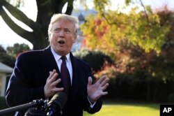 FILE - President Donald Trump speaks to the media outside the White House in Washington, Nov. 20, 2018.