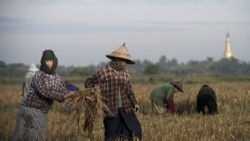 စားနပ်ရိက္ခာ မလုံလောက်တဲ့ ကမ္ဘာ့ (၁၀) နိုင်ငံမှာ မြန်မာပါဝင်