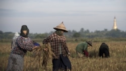 http://www.voanews.com/MediaAssets2/burmese/2011_07/07-25-11_ECON-_ECONOMIC_PERFORMANCE_OF_NEW_GOVT_IN_BURMA_ALO.Mp3