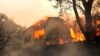 Пожежі в Каліфорнії забрали життя щонайменше 11 осіб
