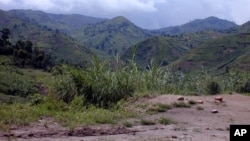 The fertile lands of Masisi in eastern DRC (file photo)