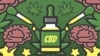 En los últimos años, el químico derivado de la planta de cannabis, comúnmente llamado CBD, ha sido promocionado como un alivio para innumerables dolencias físicas.