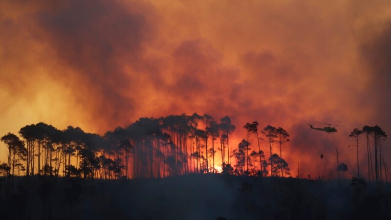 Wildfires Will Rise by 50% by End of Century, Experts Warn