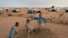 Camp de refugiés maliens de Mbera, Mauritanie, le 2 mars 2013. (Nyani Quarmyne/MSF) 