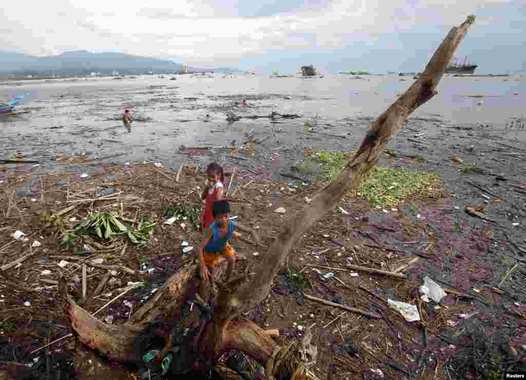 Children play on a fallen tree branch in the aftermath of Typhoon Rammasun in Batangas city, south of Manila, July 17, 2014.