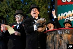 Groundhog Club handler Ron Ploucha, center, holds Punxsutawney Phil, the weather prognosticating groundhog, during the 129th celebration of Groundhog Day on Gobbler's Knob in Punxsutawney, PA., Feb. 2, 2015.