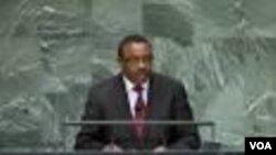 Hailemariam D.