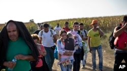 Migranti na granici Srbije i Hrvatske