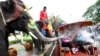 Asia’s Performing Elephants Abused, Rights Group Finds