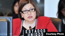 La Embajadora de Estados Unidos ante la OEA, Carmen Lomellin conversó con la Voz de América