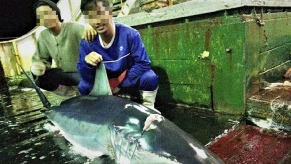 Kemlu: Banyak WNI Bekerja Ilegal Sebagai ABK Kapal Ikan Asing