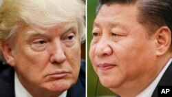 Presiden AS Donald Trump di Washington (kiri) 28 Maret 2017 dan Presiden China Xi Jinping di Beijing (kanan) 22 Februari 2017. 
