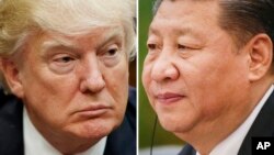 도널드 트럼프 미국 대통령(왼쪽)과 시진핑 중국 국가주석. 
