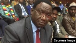 Sachigaro vekomiti yeparamende inoona nezvekudyidzana nedzimwe nyika, VaKindeness Paradza vanoti kutanga muna Chikunguru vanenge vafambira vana veZimbabwe vari kunze.