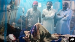 Family members stand next to a patient suffering from dengue fever, in an isolation ward at a local hospital in Rawalpindi, Pakistan, Oct 21, 2014. 