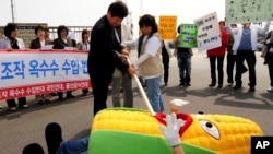 South Korean civic group members perform during rally against imported genetically modified organism (GMO) corn from China.