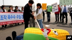 FILE - South Korean civic group members perform during rally against imported genetically modified organism (GMO) corn from China, Ulsan, South Korea, May 1, 2008.