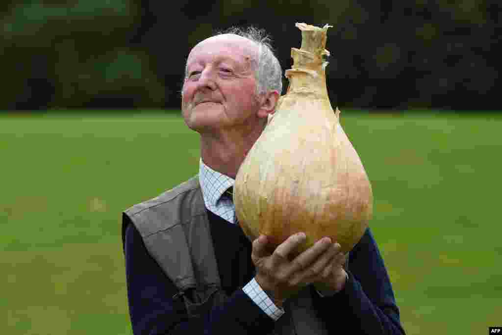 Peter Glazebrook poses for a photograph with his 6.6 kg onion which won its class in the giant vegetable competition on the first day of the Harrogate Autumn Flower Show held at the Great Yorkshire Showground, in Harrogate, northern England.