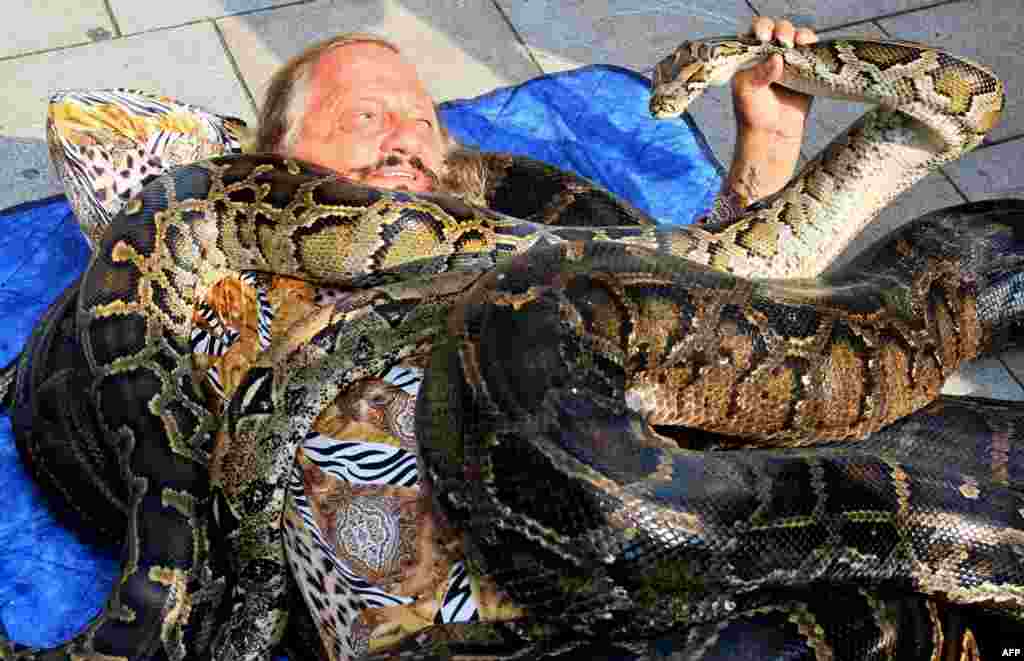 Circus director Jaromir Joo lies on the ground with three boa constrictors and two python snakes at St. James Square in Brno, Czech Republic.