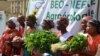 Des femmes participent à une marche anti-OGM, le 2 juin 2018 à Ouagadougou, au Burkina Faso. 