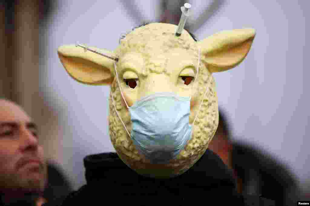 A person with a lamb mask participates in an anti-vaccination demonstration at the Parliament Square in London.