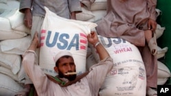 FILE - An Afghan refugee collects a bag of wheat being distributed by the World Food Program and USAID at Jalozai refugee camp near Peshawar, Pakistan.