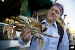 Michael Bair, of Lexington, Ky., holds an imported Dungeness crab from the Northwest at Fisherman's Wharf in San Francisco, Nov. 10, 2015.