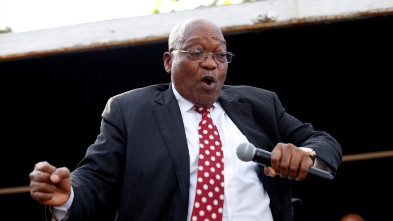 Zuma pourrait se représenter pour les législatives en Afrique du Sud