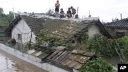 Residents wait on the roof of a flooded building in Anju City, South Phyongan Province, North Korea, July 30, 2012.