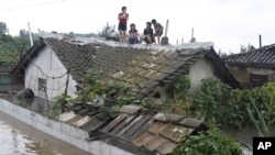 Cư dân leo lên mái nhà để tránh lũ, thành phố Anju, tỉnh Nam Phyongan, Bắc Triều Tiên