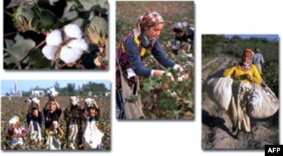 Birinchi shaxs porno rasmlar