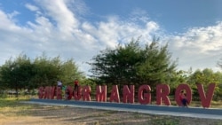 "Save Our Mangrove" di hutan mangrove Pantai Karangsong, Indramayu, Jawa Barat. (Courtesy : Eva Mazrieva/VOA)