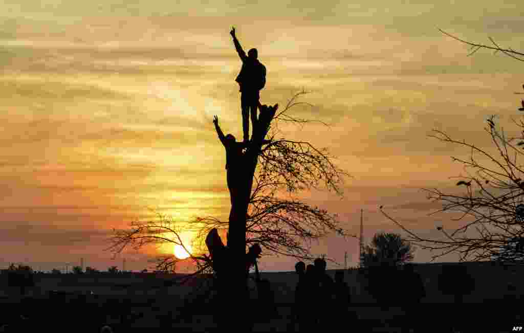 Kurdish people make the V sign while standing on a tree as they rally near the border with Syria in Sanliurfa, Turkey.