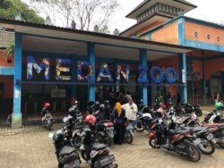 Medan Zoo di Sumatra Utara. Sabtu 25 Januari 2020. (Foto: VOA/Anugrah Andriansyah)