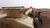 Kurdish Fighters Seize Iraqi Territory From Islamic State