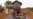 កម្មវិធី​មត្តេយ្យ​ចល័ត​ជួយ​កុមារ​ជនជាតិ​ដើម​ភាគ​តិច​​នៅ​ខេត្ត​រតនគិរីទទួល​ការ​អប់រំ