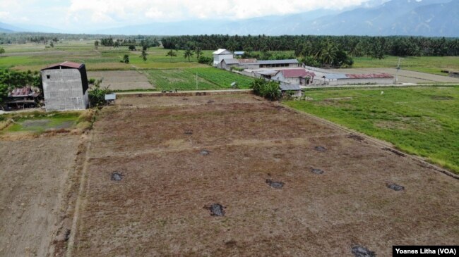 Areal persawahan di desa Sidondo IV, Kecamatan Sigi, Kabupaten Sigi Sulawesi Tengah yang tidak lagi dapat ditanami padi akibat tidak berfungsinya saluran irigasi Gumbasa. (6 Juli 2019) (Foto: VOA/Yoanes Litha)