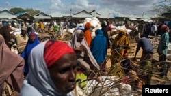 FILE - Somali refugees organize their food rations during a distribution exercise outside a U.N. World Food Program center at the Dadaab refugee settlement in Kenya, October 2013.