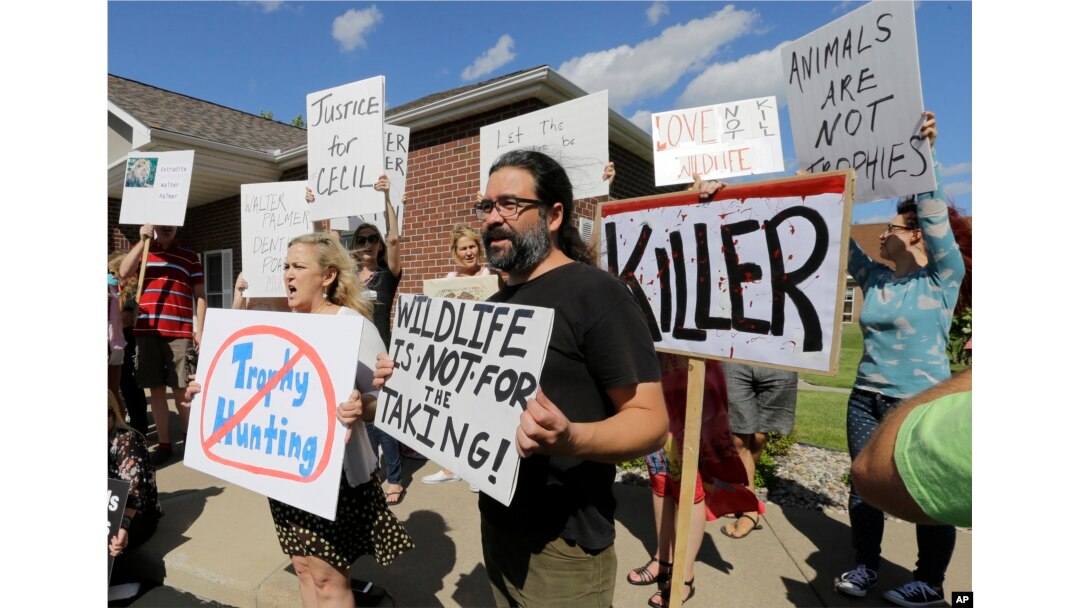 Protestors gather outside Dr. Walter James Palmer's dental office in Bloomington, Minn., Wednesday, July 29, 2015.